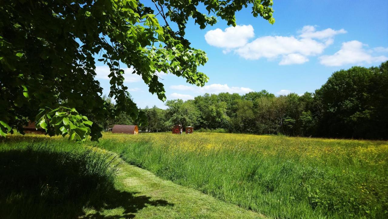 Domaine De La Grangee Villa La Chapelle-Blanche-Saint-Martin ภายนอก รูปภาพ