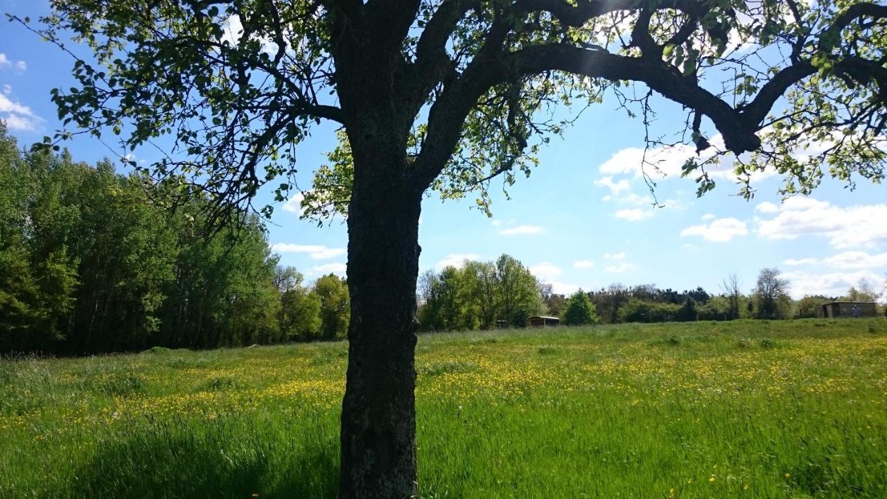 Domaine De La Grangee Villa La Chapelle-Blanche-Saint-Martin ภายนอก รูปภาพ