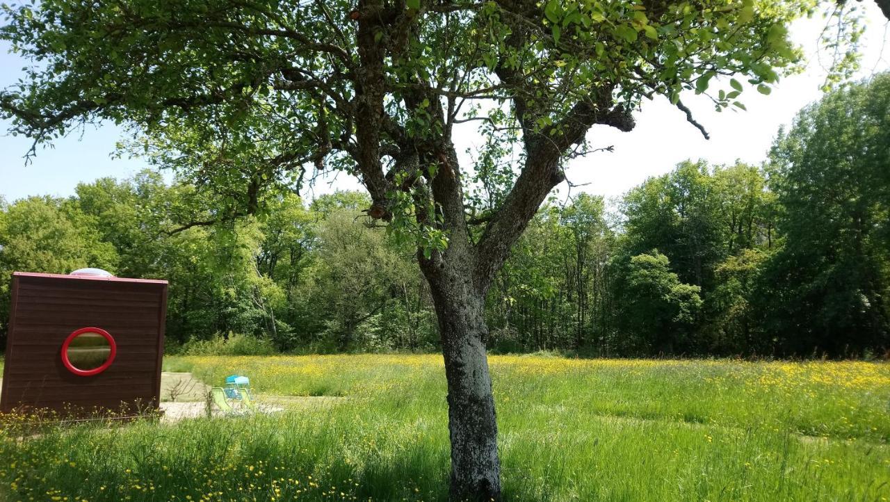 Domaine De La Grangee Villa La Chapelle-Blanche-Saint-Martin ภายนอก รูปภาพ
