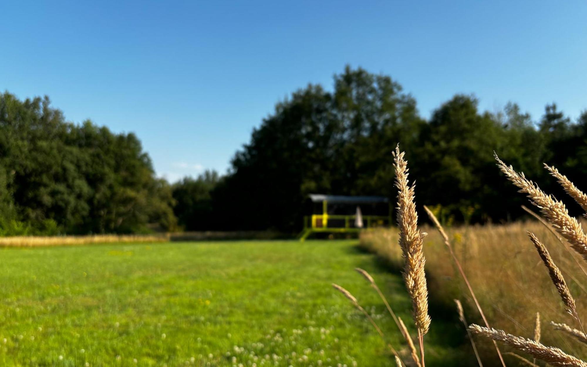 Domaine De La Grangee Villa La Chapelle-Blanche-Saint-Martin ภายนอก รูปภาพ